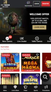 BetMGM casino website
