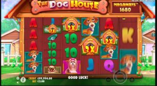 The Dog House demo play free 4
