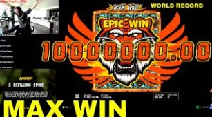 Born Wild max win video 2