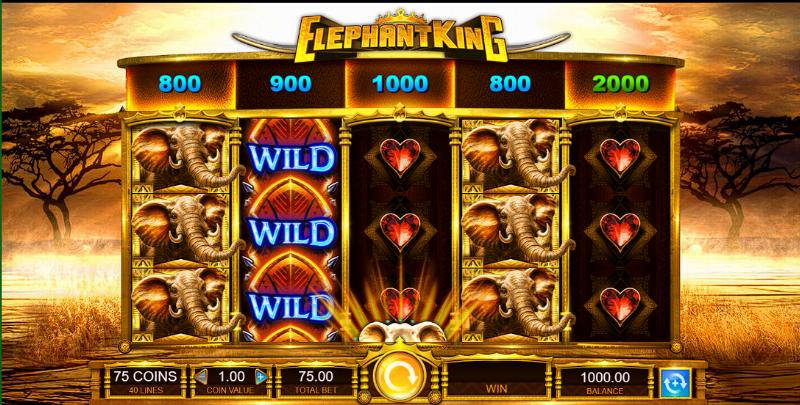 Elephant King