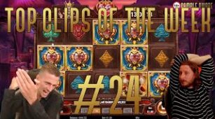 Court Of Hearts max win video 0