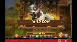 Animal Madness max win video 0