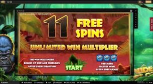 Gorilla Gold Megaways max win video 0