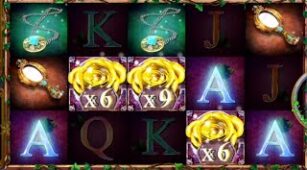 Kiss Of The Rose max win video 1