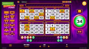Bingo Power demo play free 0