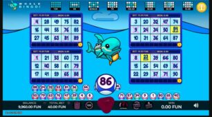 @Whale Bingo demo play free 0
