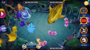 Shark Fight demo play free 0