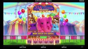 Fluffy Favourites Megaways max win video 1