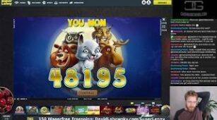 Wolf Cub max win video 1