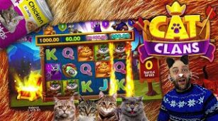 Cat Clans max win video 1
