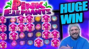 Pink Elephants 2 max win video 0
