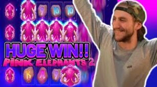 Pink Elephants 2 max win video 1