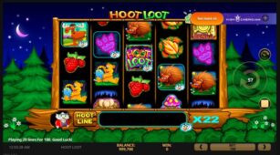 Hoot Loot demo play free 3