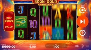 Book Of Gold Multichance demo play free 3
