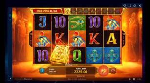 Book Of Gold Multichance max win video 1