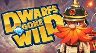 Dwarfs Gone Wild max win video 0
