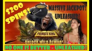 Primate King max win video 0
