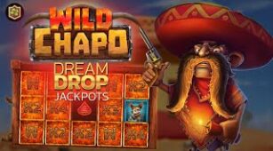Wild Chapo Dream Drop max win video 1