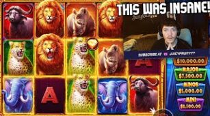 The Ultimate 5 max win video 0