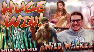 Wild Walker max win video 0