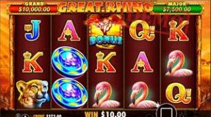 Great Rhino max win video 1