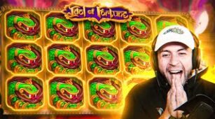 Idol Of Fortune max win video 0