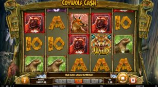 Coywolf Cash demo play free 0