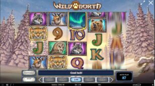 Wild North (Play’n Go) demo play free 2