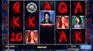 Wild Blood max win video 0
