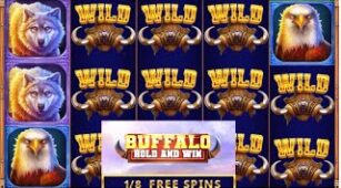 Buffalo Hold And Win max win video 0