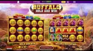Buffalo Hold And Win max win video 1