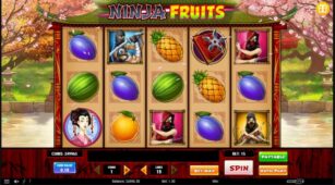 Ninja Fruits demo play free 2