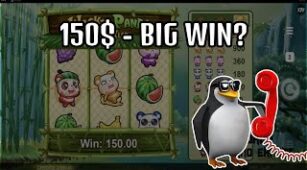 Wacky Panda max win video 0