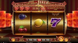 Free Reelin Joker demo play free 2