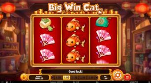Big Win Cat demo play free 1