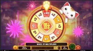 Big Win Cat max win video 0