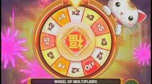 Big Win Cat max win video 1