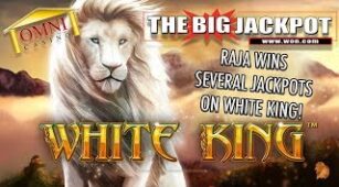 White King max win video 0