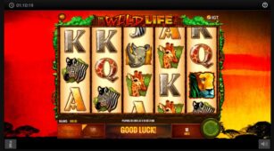The Wild Life demo play free 0