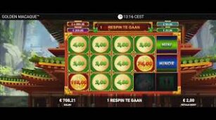 Golden Macaque max win video 1