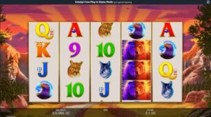 Grizzly demo play free 0