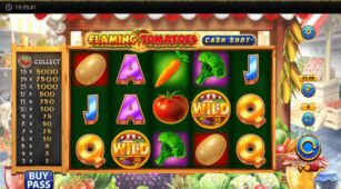 Flaming Tomatoes: Cash Shot demo play free 2
