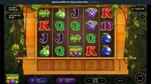 Spinberry Wilds demo play free 3