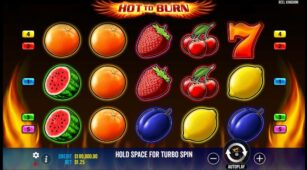 Hot To Burn demo play free 0