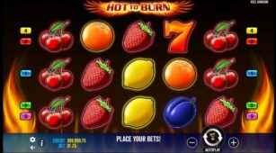 Hot To Burn demo play free 1