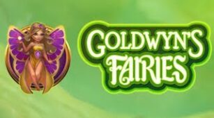 Goldwyn’s Fairies max win video 0