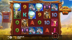 Wild Wildebeest Wins demo play free 2