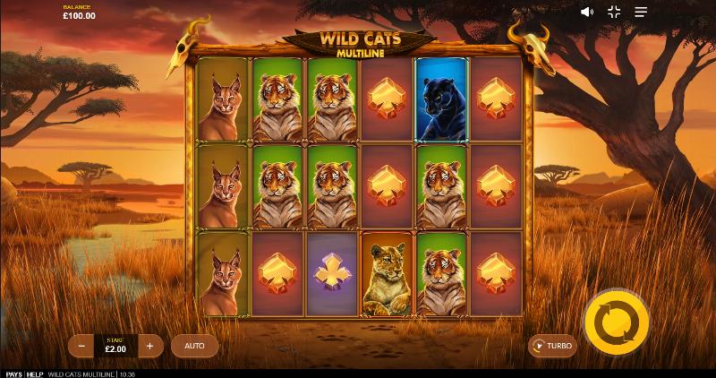 Wild Cats Multiline