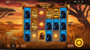 Wild Cats Multiline demo play free 0