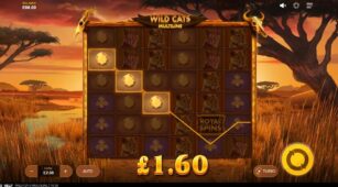 Wild Cats Multiline demo play free 2
